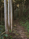 Towards